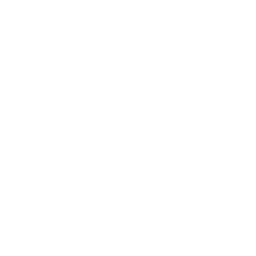UGC Content Creation