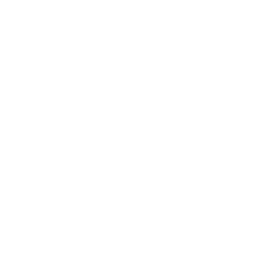Influencer Marketing
